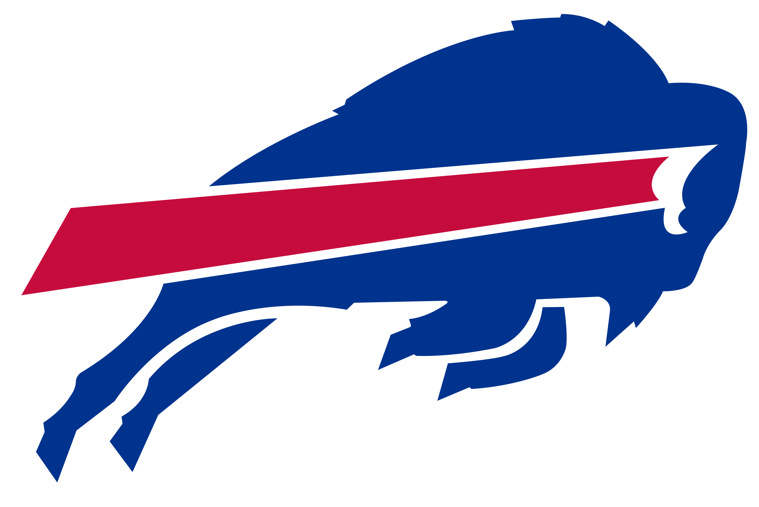Buffalo Bills